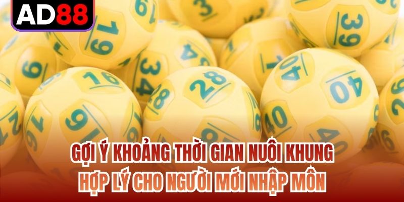 Gợi ý khoảng thời gian nuôi khung hợp lý cho người mới nhập môn