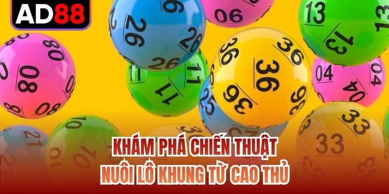 Khám phá chiến thuật nuôi lô khung từ cao thủ
