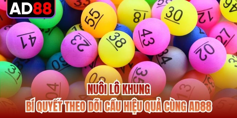 Nuôi Lô Khung - Bí Quyết Theo Dõi Cầu Hiệu Quả Cùng AD88